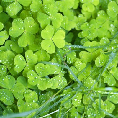 1920 x 1080 HD Wallpapers 2196